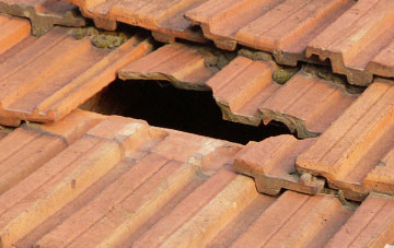 roof repair Langton Green